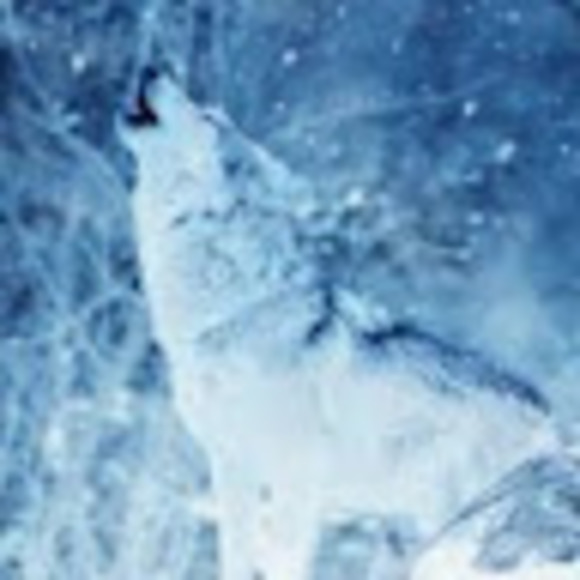 Meet your Posher, Azalynn - Picture 1 of 1